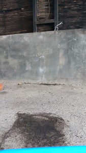 pisau seset daging sisit kulit sapi