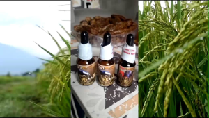 RG vitamin burung onplay vitamin kacer serum penggacor burung kacer herbal power