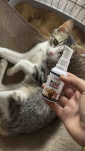 Ubat Selsema Kucing/Anjing Paling Berkesan Nasal Care