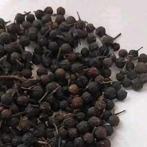 Herbal BIJI KEMUKUS kering