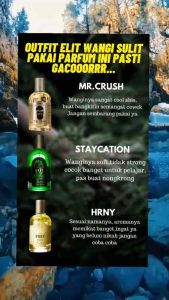 BELI 1 DAPAT 3 PROMO PARFUM PRIA&WANITA- SCENTPLUS HRNY SIDE EFFECT+MR CRUSH+ HRNY ORIGINAL 35ML EAU DE PARFUME