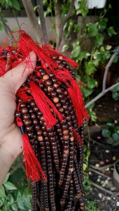 Tasbih Galih Asem 8mm 99butir Rumbai Merah Spesial Dilazada