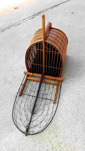 ดักนกกวัก ได้หลายชนิด เพนียดสวยมาก