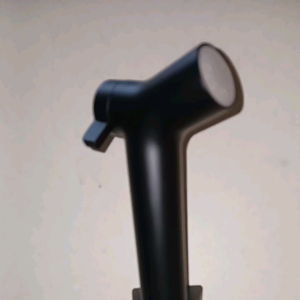 Westrend black hand bidet c/w 1200mm flexible and holde