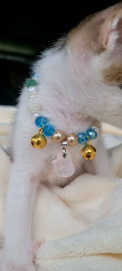 สร้อยคอน้องแมว สร้อยคอน้องหมา  ปลอกคอแมว ปลอกคอน้องหมา  ดีไซน์โดดเด่น และน่ารัก ใส่สบาย