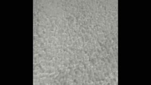 Towel white Hotel Quality soft Cotton Material Top selling