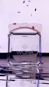 Ốp Trục Uốn Mi Nơ Sinh Nhiệt Phiên Bản Cao Cấp Màu Xám Pha Lê Trong Suốt