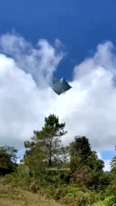 Tali Guyline Original: Tali Flysheet & Tali Tenda Camping