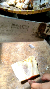 Ikan Asin Jambal Roti Super ngeprul dan enak