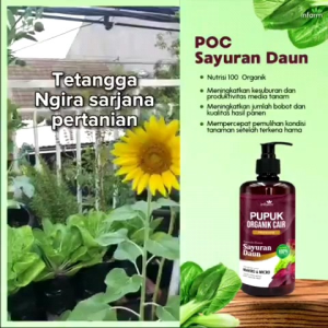 KASFARM-PUPUK ORGANIK CAIR  PRAWATAN TANAMAN SAYUR DAN DAUN / KOMPOS POC ISI 500ML