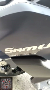 EURO SAMURAI 155i RACK Z MONORACK STAY GRAB BAR