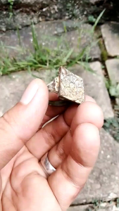 Cincin kuno symbol stempel Surya Majapahit