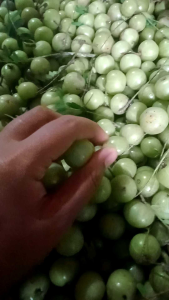 BUAH MALAKA/BUAH AMLA SEGAR 2KG