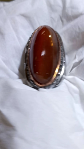 Pandan Jamblang: Tanaman Hias Indoor yang Mudah Dirawat