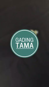 Kepala Aki PEMUTUS ARUS Accu Mobil