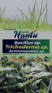 PUPUK JIMMY HANTU TRICHODERMA