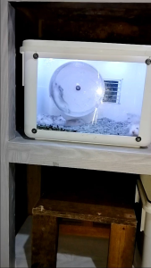 Kandang hamster box modif kaca akrilik lampu hias perlengkapan