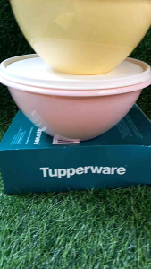 Tupperware 3PCs Wonderful Bowl With Cover