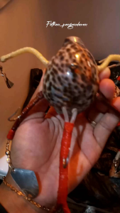 umpan pancing gurita 500g