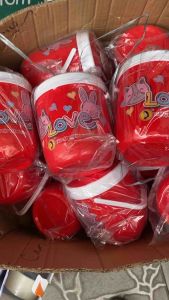 Combo 2 bình đá giữ nhiệt mini màu đỏ nhựa Tân Lập Thành