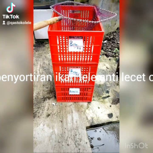 Keranjang Sortir + Alat Sortir ikan lele alumunium Ayakan Lele Saringan Lele Seritan Lele 47x35
