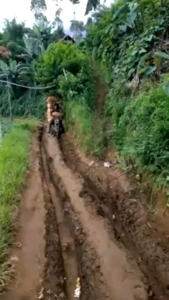 Rantai ban motor / rantai full hitam kait 2 untuk jalan berlumpur ring 14 17 18