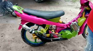 SARUNGAN KENALPOT FIZ R TIPE ROODRES