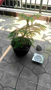 Floor drain saringan got stainless anti serangga dan banjir 10x10 Cm