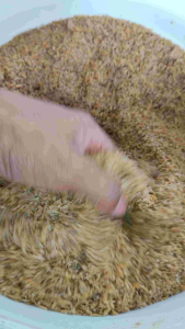 EM Bran Bokashi / Em Bokashi beras sebagai multi-vitamin untuk tanaman dan ternakan