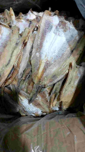 500gram Cá Mối Khô hương vị biển Việt