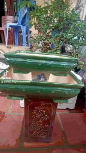 chậu chữ nhật men xanh Đồng Nai dáng cổ