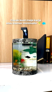 akuarium hias silinder soliter ikan cupang estetik dekorasi meja