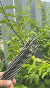 ดอกปลา 4 มิล 35 เซน 3 ชิ้น