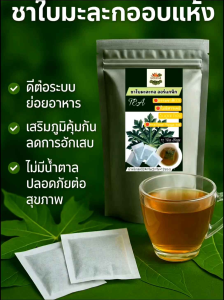 ชาใบมะละกอ ผสมไม่ผสม บรรจุ 12ซองไม่มีน้ำตาลพร้อมส่งสุขภาพดีจากธรรมชาติ ออร์แกนิค