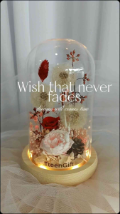 TTEEN GIFT Preserved Flower Dandelion Glass Graduation Anniversary Birthday Valentine Gift Decoration 永生花蒲公英玻璃罩礼品
