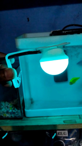 lampu aquarium murah - model no 4 - lampu soliter - lampu hias - lampu jepit aquarium