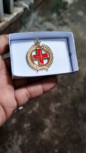 Brevet Wing PDH Perawat: Panduan Lengkap