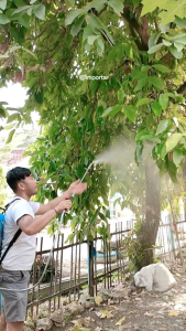 SEMPROT PERTANIAN ELEKTRIK 16 L Sprayer elektrik