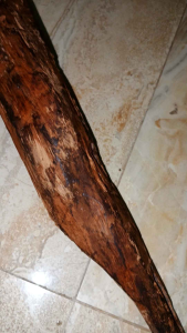 Kayu gaharu asli panjang 50 cm