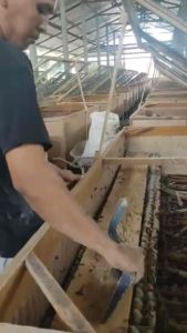 Anti Zonk Pakan BRAL BRUL Khusus Jangkrik Ulat & Kroto Untuk indukan Burung Murai Kacer Goci Cucak Anis.