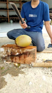 Golok Plastik Baja: Kupas Kelapa & Tebang Kayu