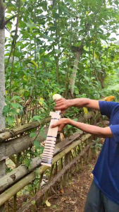 Golok Soren & Baja Putih Super Tajam Full Kayu Kecapi