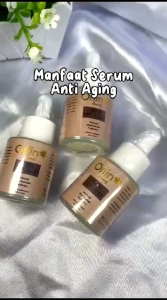SERUM FLEK ORLIN ANTI AGING/ORLIN BEAUTY/BPOM