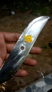 mata pisau coper 20 cm/cacah rumput ternak
