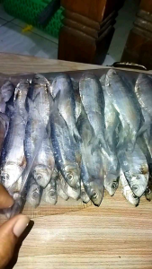 ikan asin tembang sisik 1000 gram
