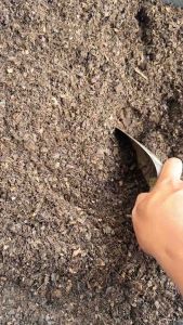 ใบก้ามปูร่อนละเอียด หมักธรรมชาติ ไม่ผสมดิน ใบก้ามปู 100%