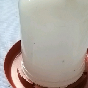 Portable Pet Waterer: A Comprehensive Guide