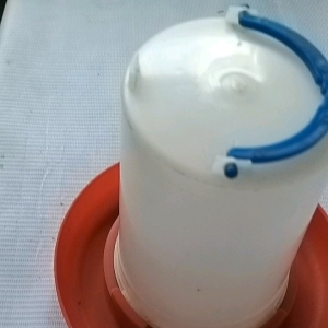 1 Liter Waterer for Chickens & Pets: A Comprehensive Guide