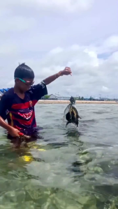 Satu set Alat pancing mini tradisional kayu 60cm