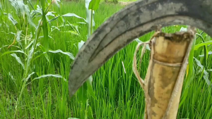 Arit Baja Isen Super Tajam Cap Tiga Kuku